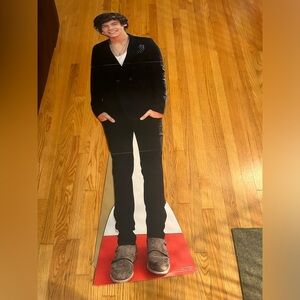 Harry Styles Cardboard cutout perfect for parties or your big fan!